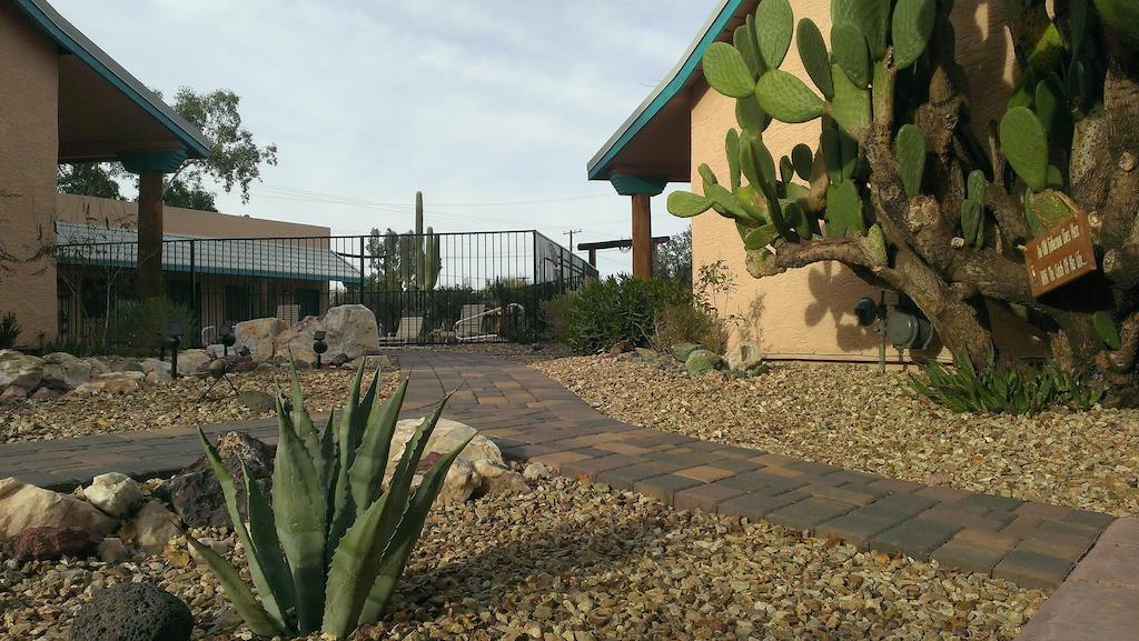 My Place Suites Wickenburg Exterior foto